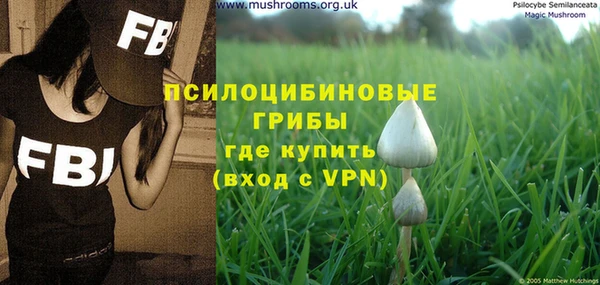 герыч Бронницы