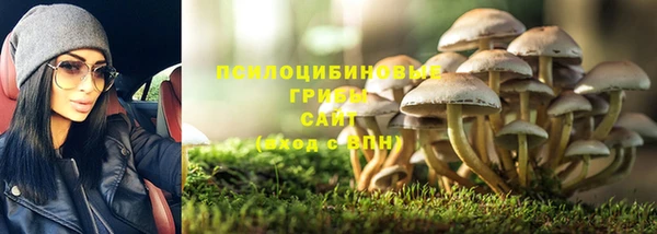скорость Бородино